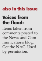  Voices from  the flood: items taken from comments posted to